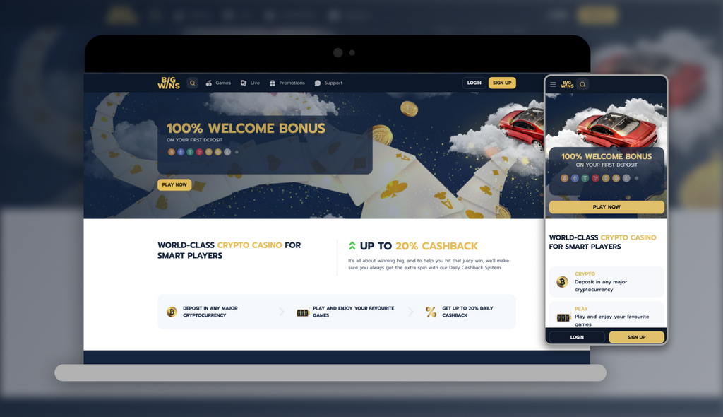 Bigwins Casino Site Evaluation: Complete Testimonial in 2025
