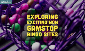 Discovering New Bingo Sites Not On The Radar